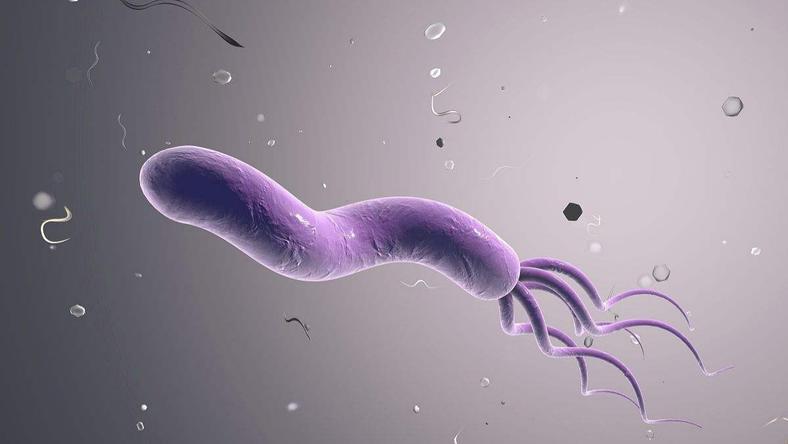 全球一半人感染幽门螺杆菌,我们该害怕么?